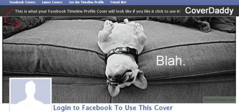 CoverDaddy offers a humorous touch to add to your profile CoverDaddy adds humor to your Facebook cover photo