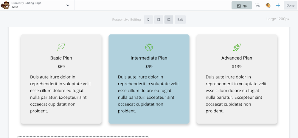 15 Viewing Your Info Boxes In Beaver Builder's Reponsive Editing Mode