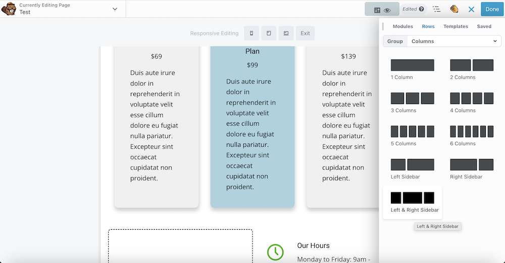 19 Selecting The Left And Right Sidebar Column Option