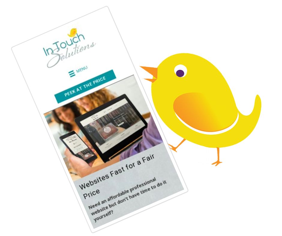 Ms. Birdie pointing at a mobile view of the In Touch Solutions website in the Small Business Website SEO.